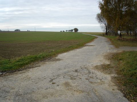 Foto 52